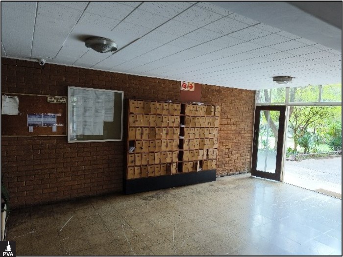 Picture5.jpg