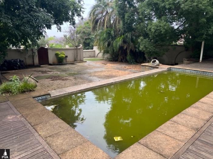 SWIMMING POOL.jpg