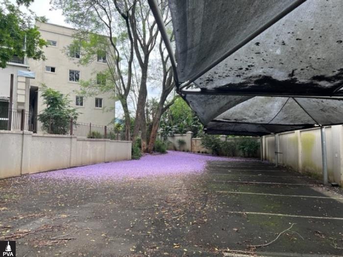 PARKING.jpg