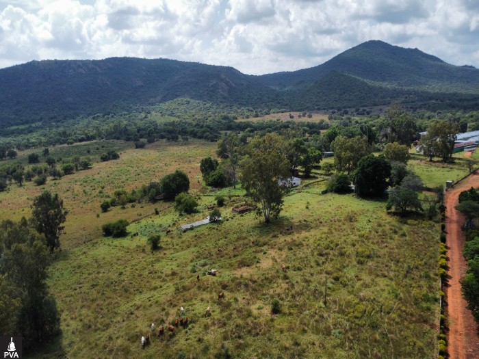 dji_fly_20260416_115056_13_1776333467903_photo_optimized.jpg