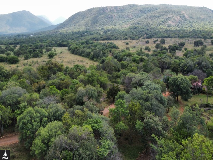 dji_fly_20260416_115828_30_1776333596116_photo_optimized.jpg