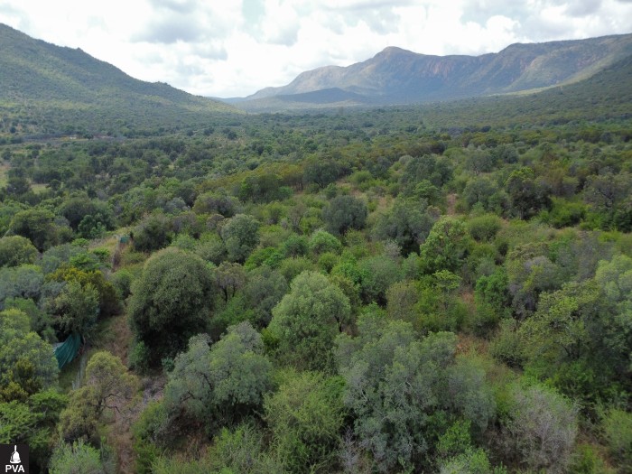 dji_fly_20260416_115836_34_1776334360468_photo_optimized.jpg