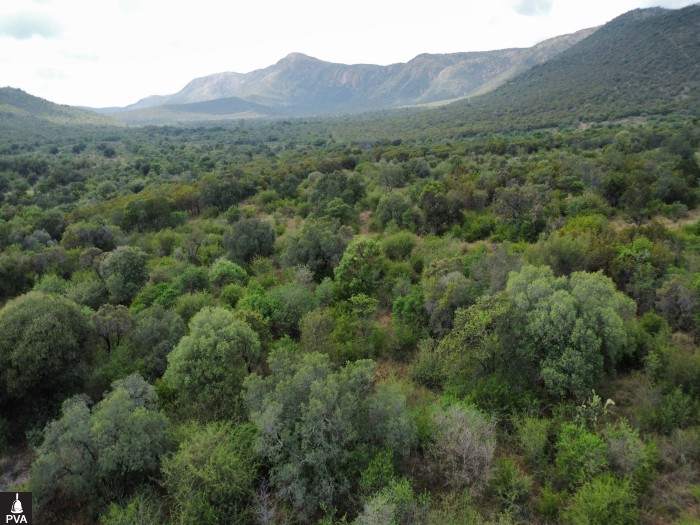 dji_fly_20260416_115838_35_1776334356363_photo_optimized.jpg