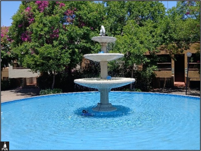 pic 8.jpg