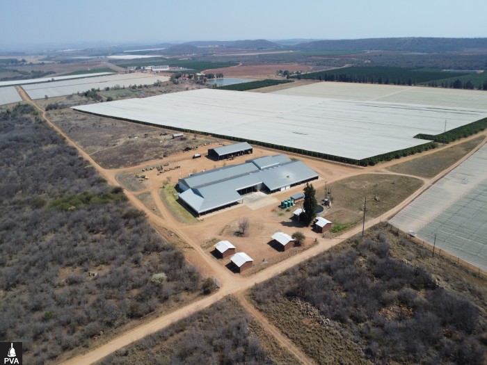 DJI_0880.JPG