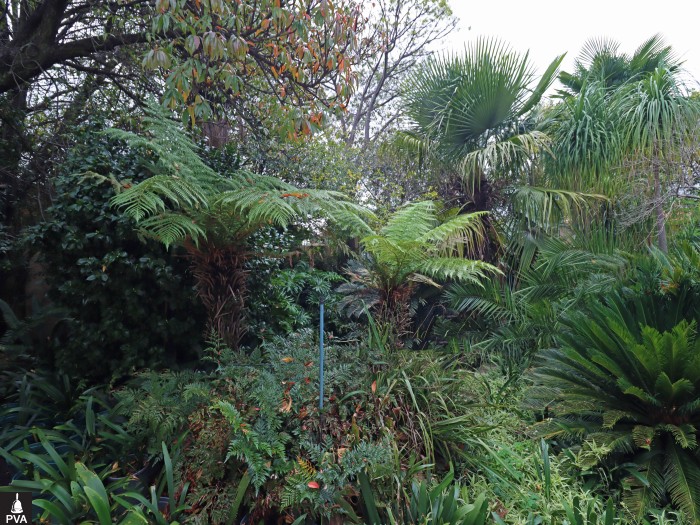 image-04.jpg